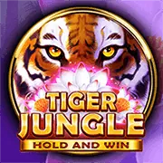 Phần câu hỏi thường gặp tại 97vn win